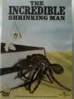 The Incredible shrinking man