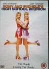 Romy and michele's high school reunion